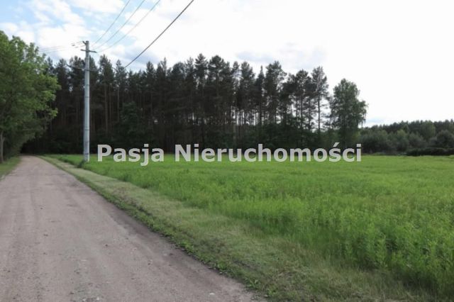 Działka Kamion. Zdjęcie 5