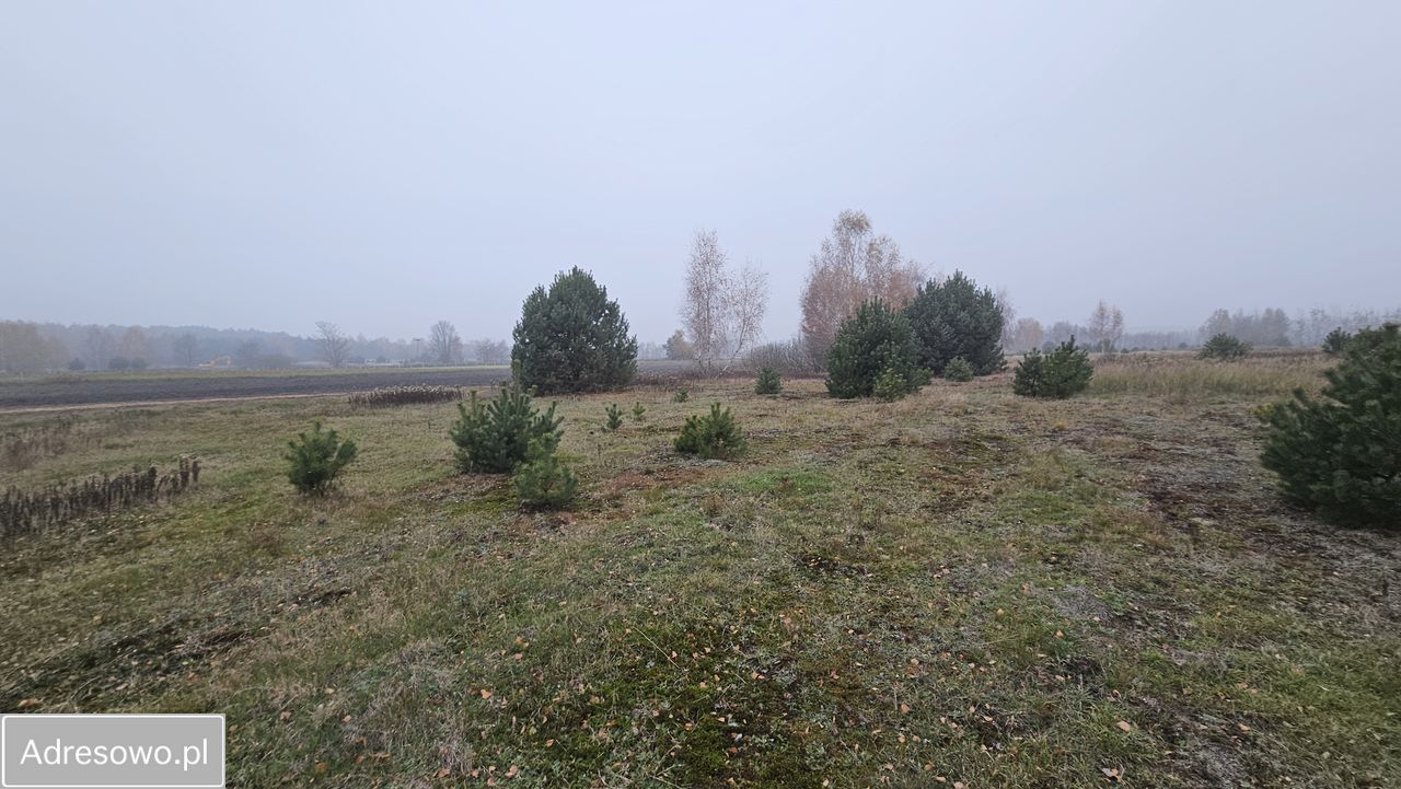 Działka rolna Nowa Wola. Zdjęcie 6