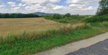 Działka inwestycyjna Nasławice. Zdjęcie 4