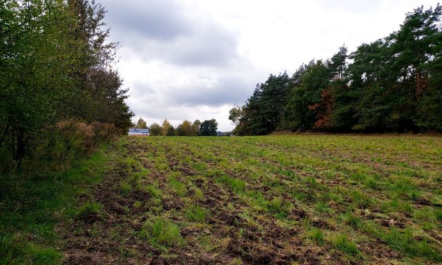 Działka budowlana Leonardów Ukraina. Zdjęcie 1