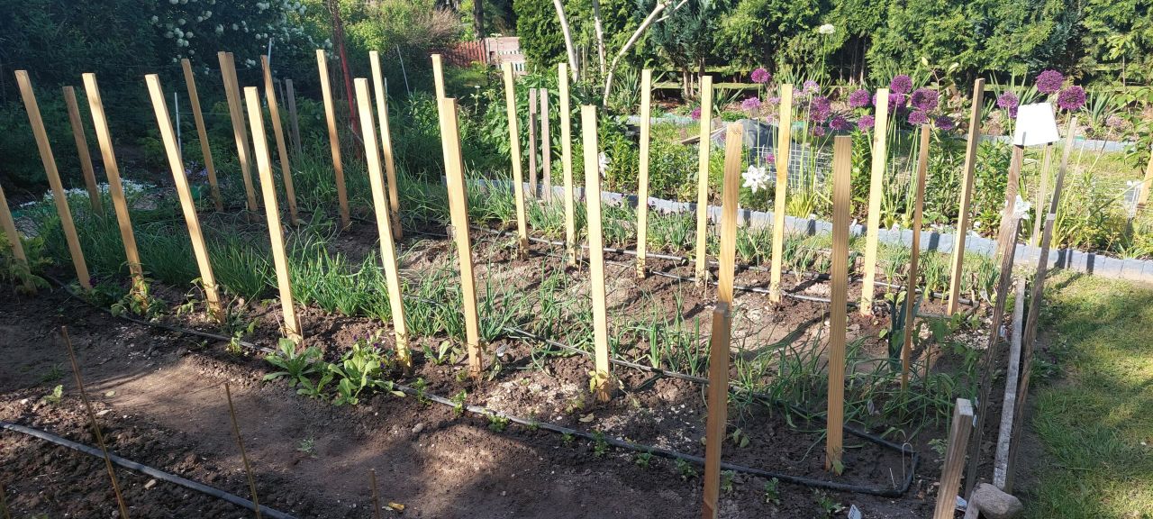 Działka rod Klikawa, ul. Ogrodowa. Zdjęcie 7