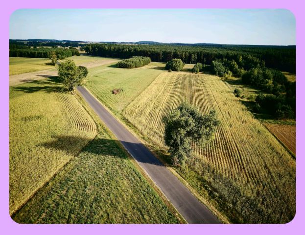 Działka budowlana Mieczkowo. Zdjęcie 1