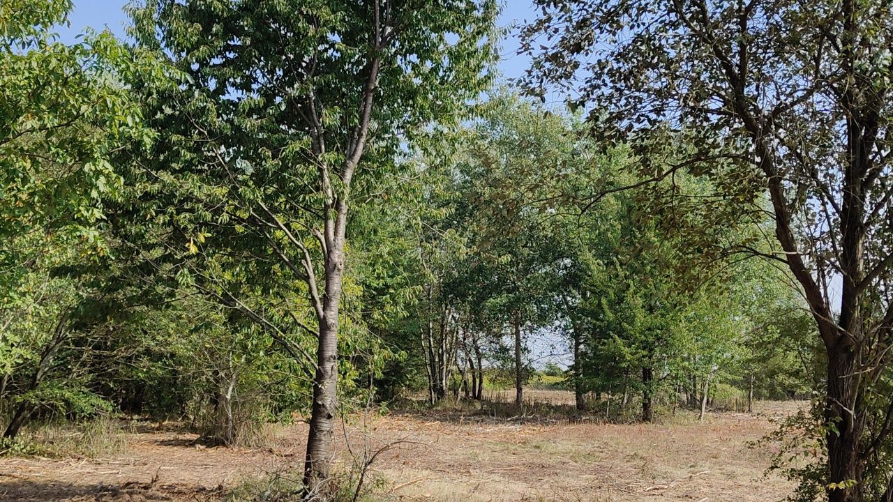 Działka budowlana Jabłonna Pierwsza. Zdjęcie 2