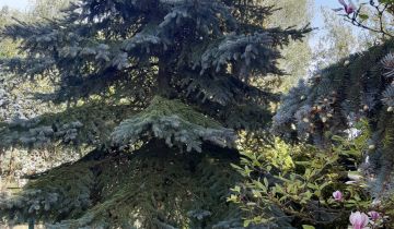 Działka rod Sierosław