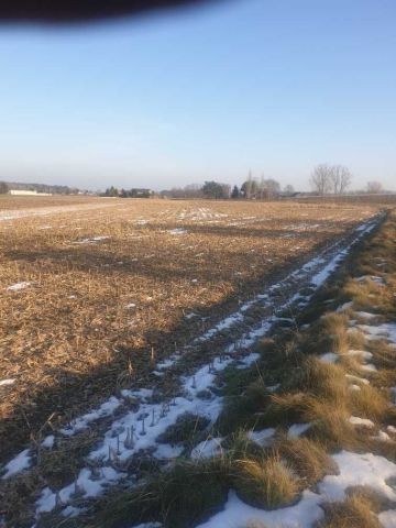 Działka rolna Woźniki. Zdjęcie 1