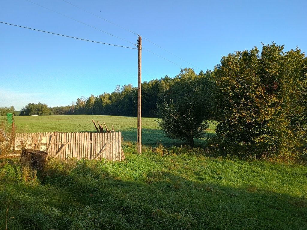 Działka rolno-budowlana Franciszkowo. Zdjęcie 6