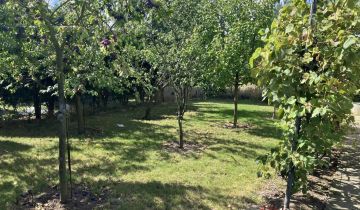 Działka rod Kalisz Szczypiorno, ul. Pogodna