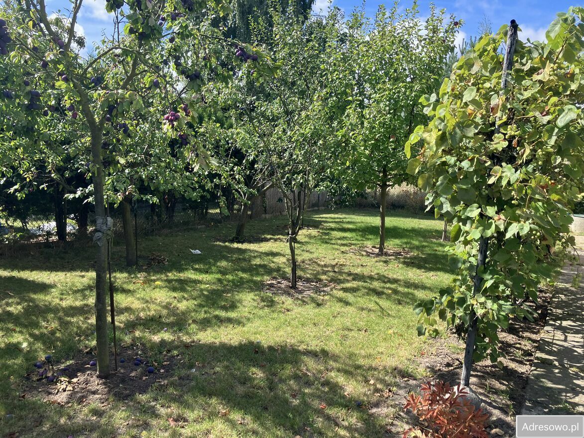 Działka rod Kalisz Szczypiorno, ul. Pogodna. Zdjęcie 2