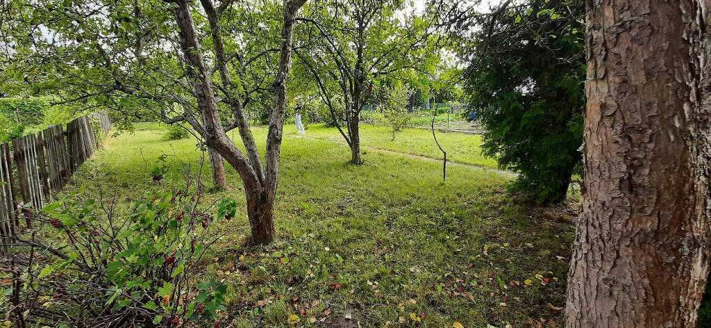 Działka rod Augustów, ul. Wojska Polskiego. Zdjęcie 8