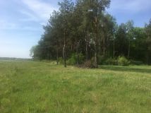 Działka budowlana Czarna Kolonia Różańcowa Wieś. Zdjęcie 2