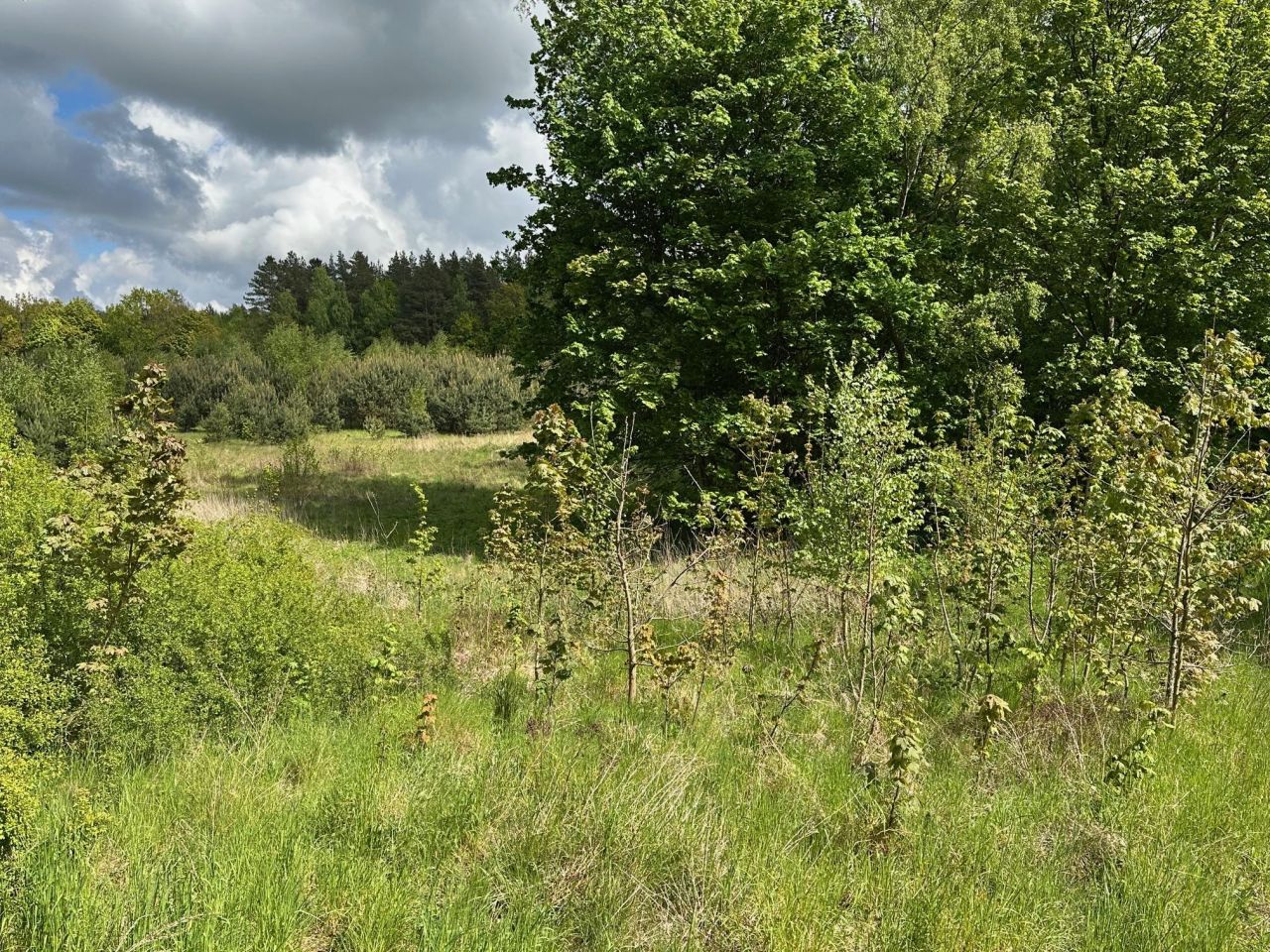 Działka budowlana Kleszczewo, ul. Skarszewska. Zdjęcie 3