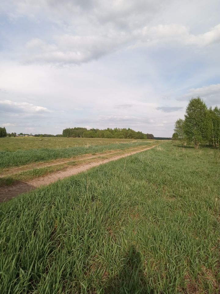 Działka budowlana Ploski. Zdjęcie 17