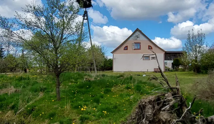 dom wolnostojący Dziśnity