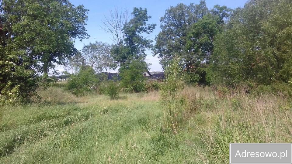 gospodarstwo Bożnów. Zdjęcie 8