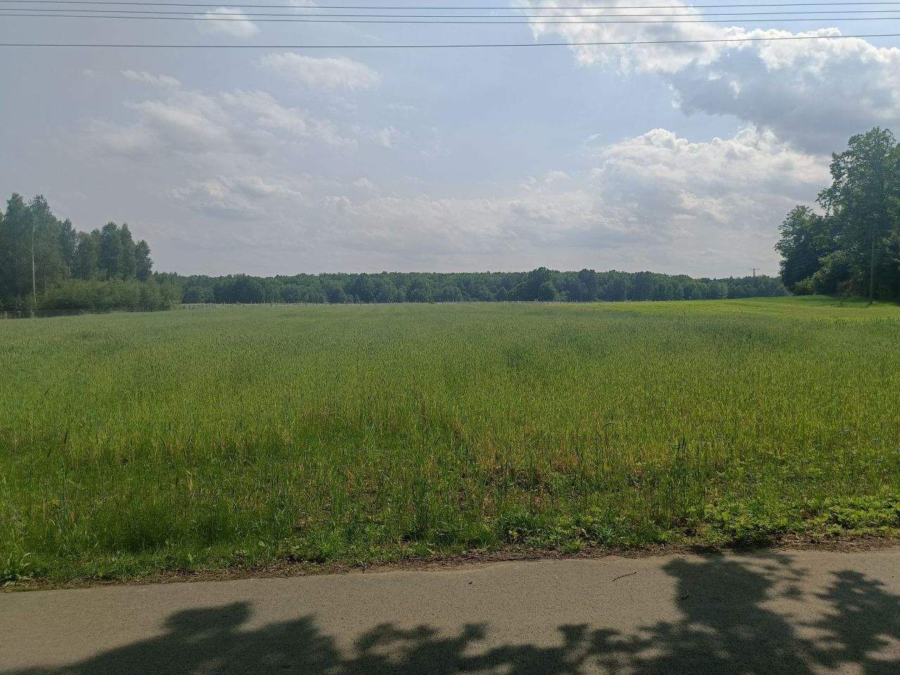 Działka rolno-budowlana Nowodwór. Zdjęcie 3