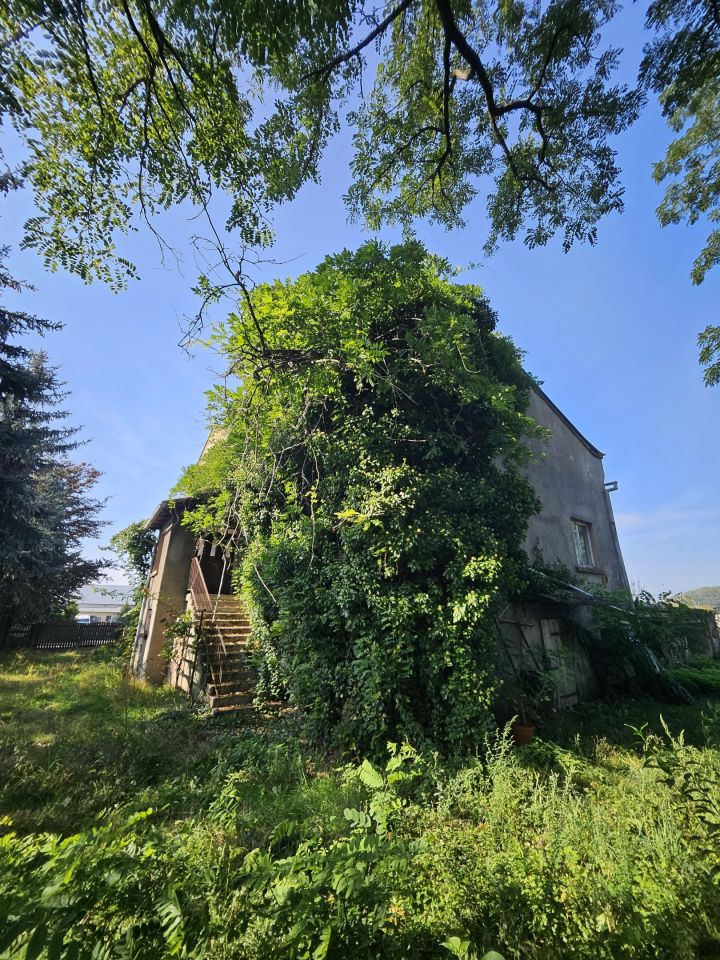 Nieruchomość komercyjna Bucz, ul. Kasztanowa. Zdjęcie 13