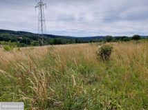 Działka budowlana Sierpnica. Zdjęcie 1