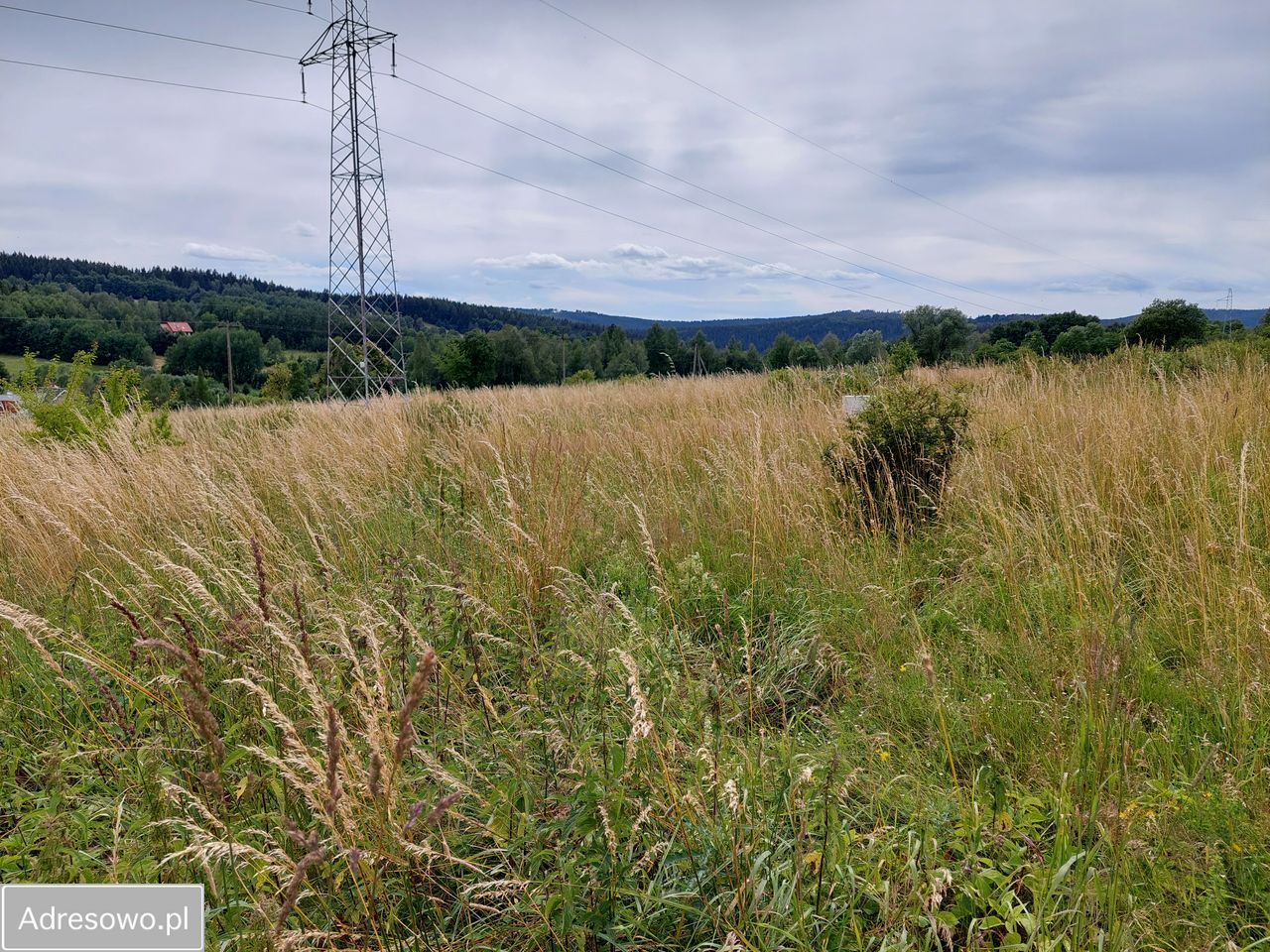 Działka budowlana Sierpnica. Zdjęcie 2