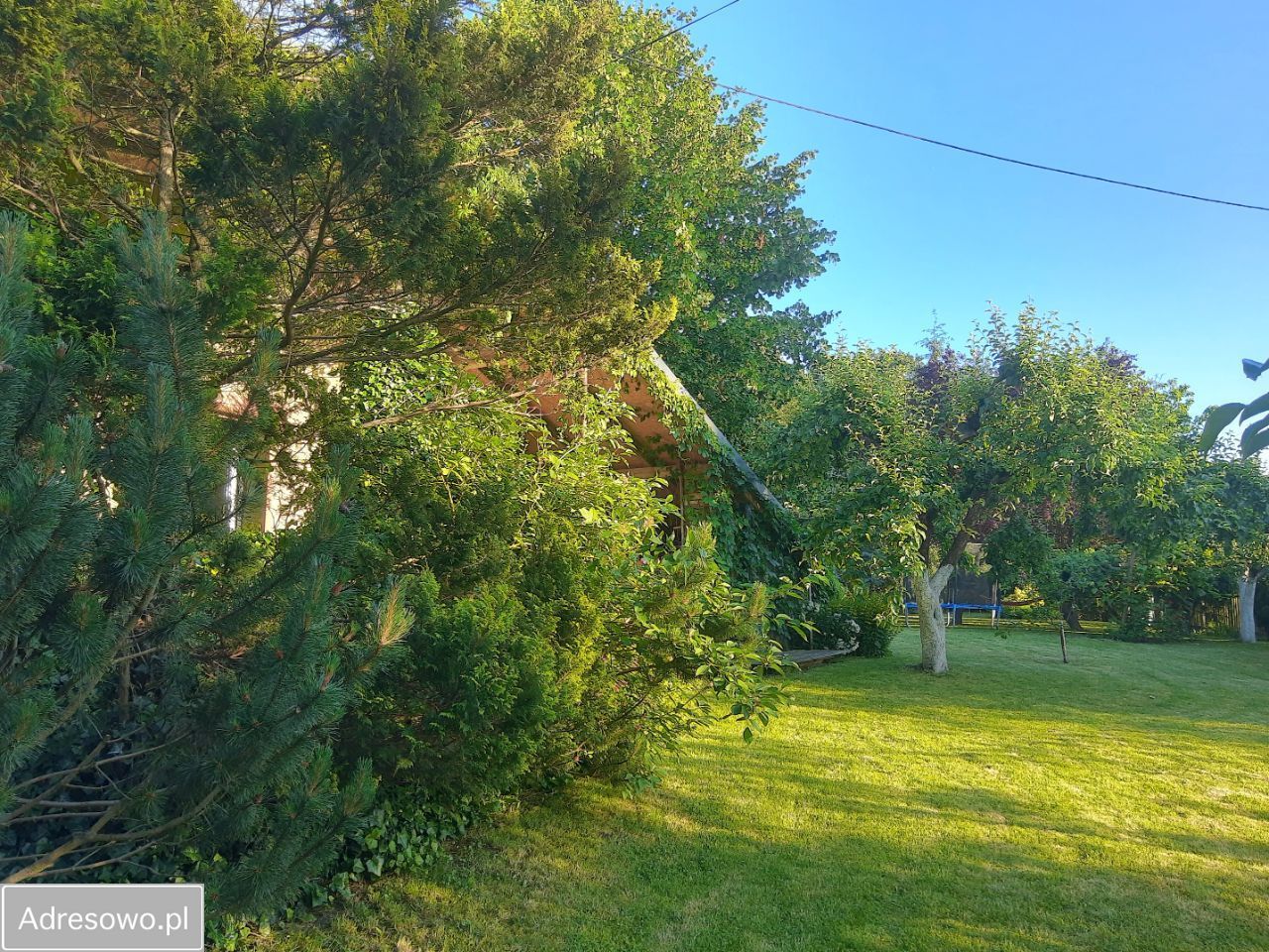 dom wolnostojący, 5 pokoi Pszczonki. Zdjęcie 9