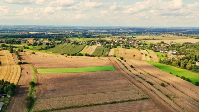 Działka rolna Bodzanów. Zdjęcie 6