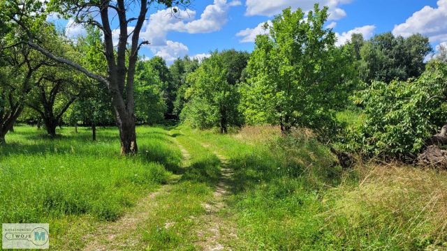 dom wolnostojący, 7 pokoi Morawica. Zdjęcie 19