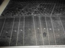 Działka leśna Katarzynów. Zdjęcie 1