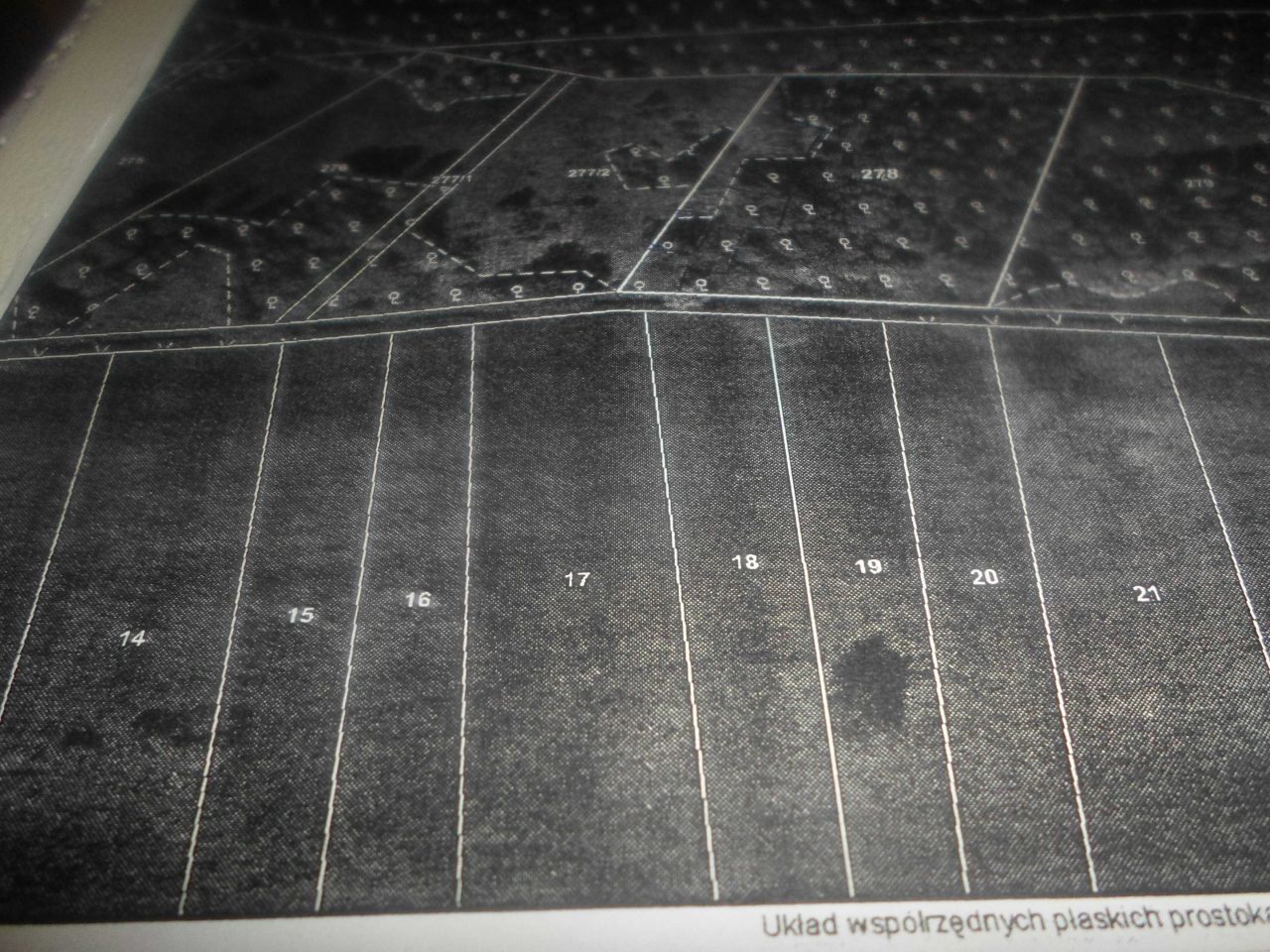 Działka leśna Katarzynów. Zdjęcie 2