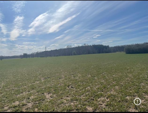 Działka budowlana Sierakówek. Zdjęcie 1