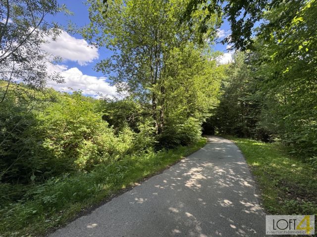 Działka budowlana Paleśnica. Zdjęcie 2