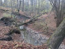 Działka Bystra. Zdjęcie 1