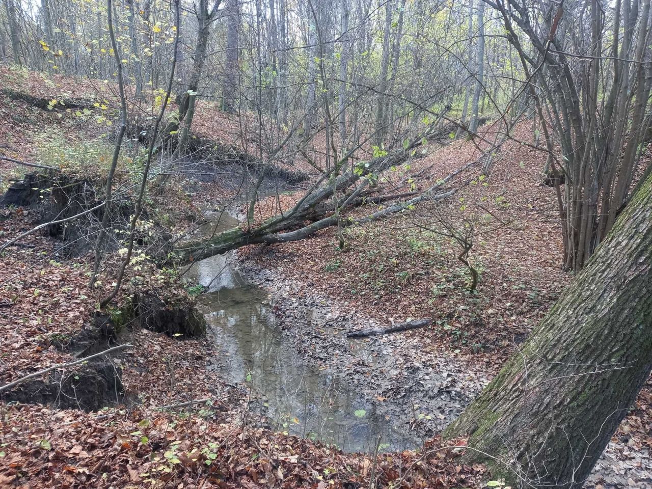 Działka Bystra. Zdjęcie 2