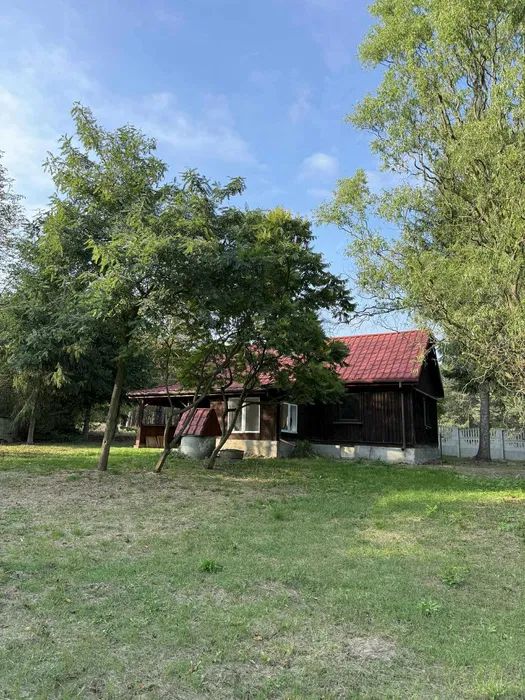 siedlisko Wolica. Zdjęcie 2