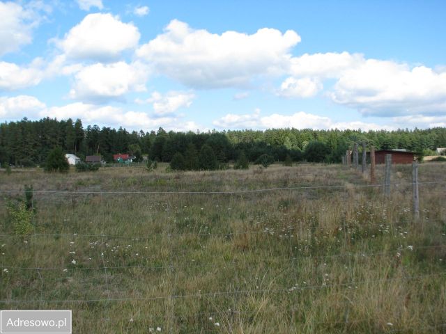 Działka siedliskowa Strękowizna. Zdjęcie 1