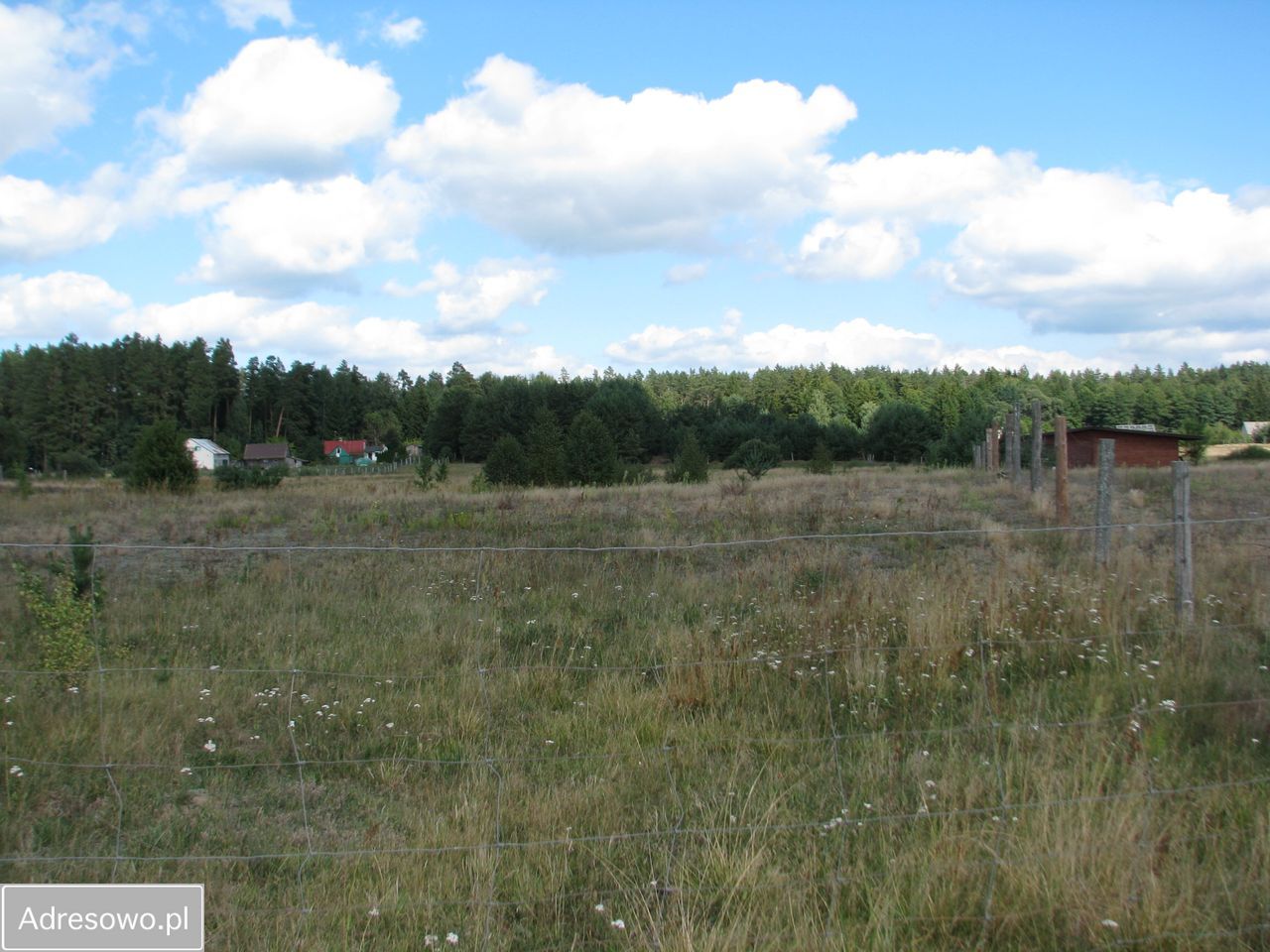 Działka siedliskowa Strękowizna. Zdjęcie 1