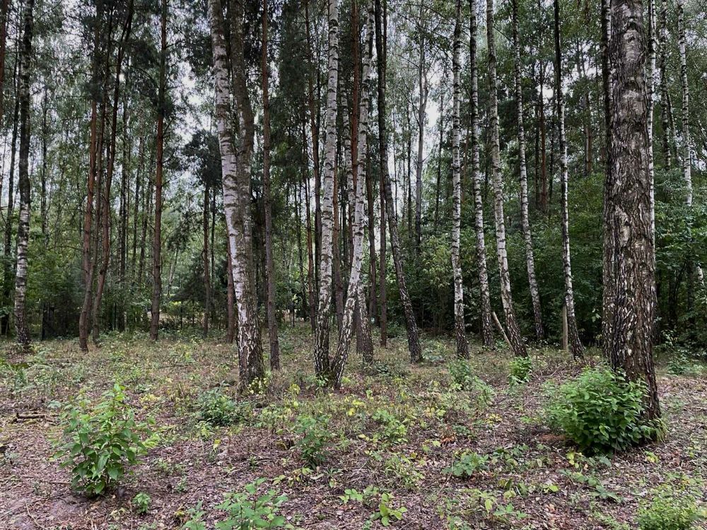Działka budowlana Budy Mszczonowskie. Zdjęcie 6