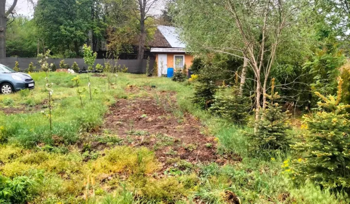 Działka budowlana Sękowo