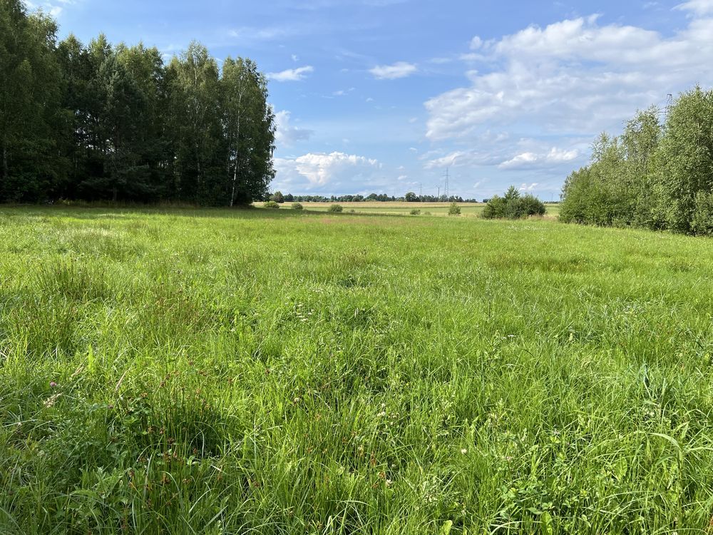 Działka rolna Henrykowo. Zdjęcie 6