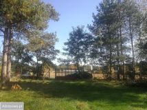 Działka budowlana Dzierżązna. Zdjęcie 1