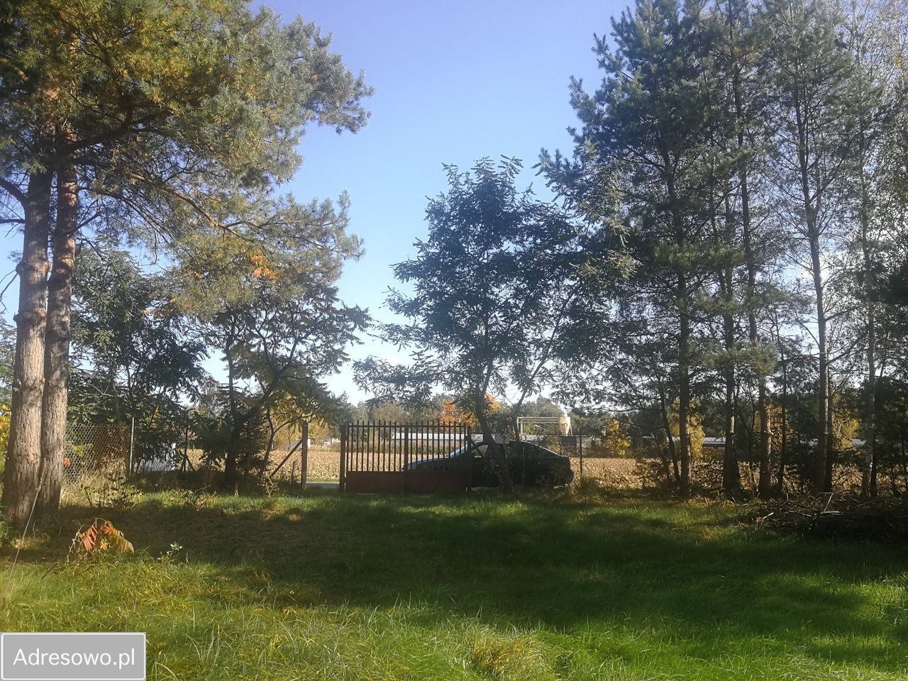 Działka budowlana Dzierżązna. Zdjęcie 2