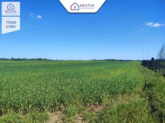 Działka budowlana Grabowo. Zdjęcie 4