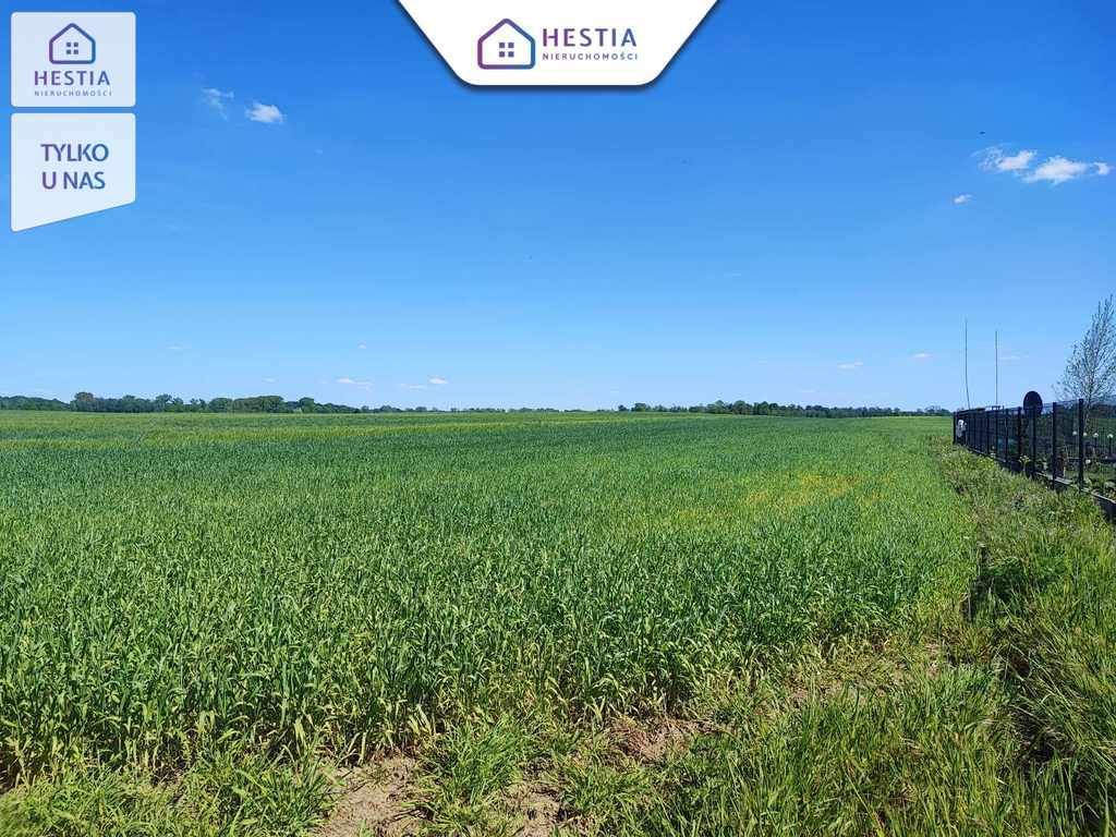 Działka budowlana Grabowo. Zdjęcie 4