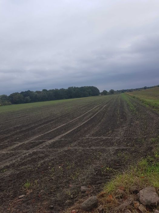 Działka rolna Wrocław Pawłowice. Zdjęcie 3