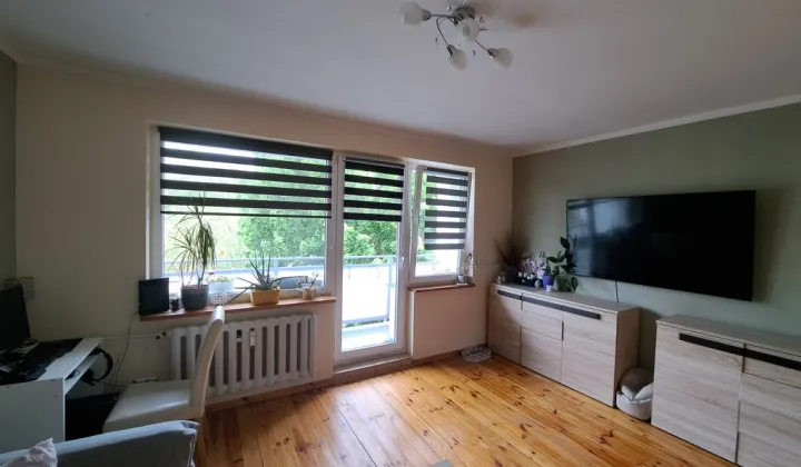 Mieszkanie 4-pokojowe Szczecin Płonia, ul. Przyszłości