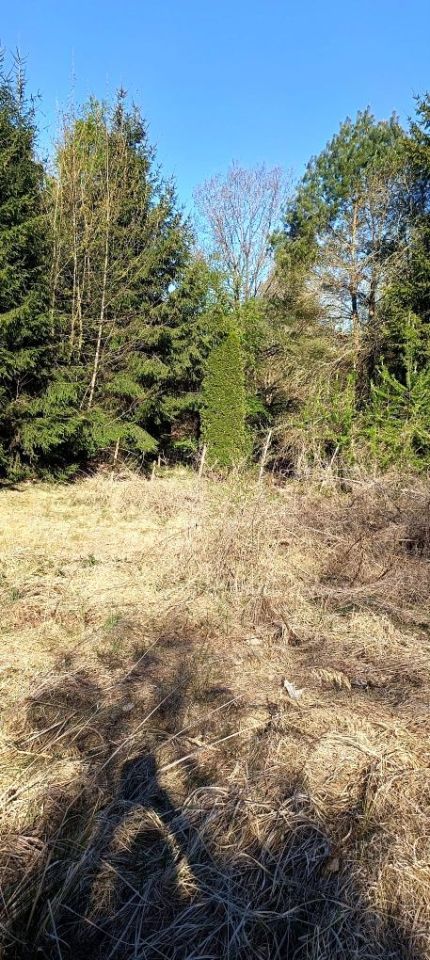 Działka budowlana Klępnica. Zdjęcie 6