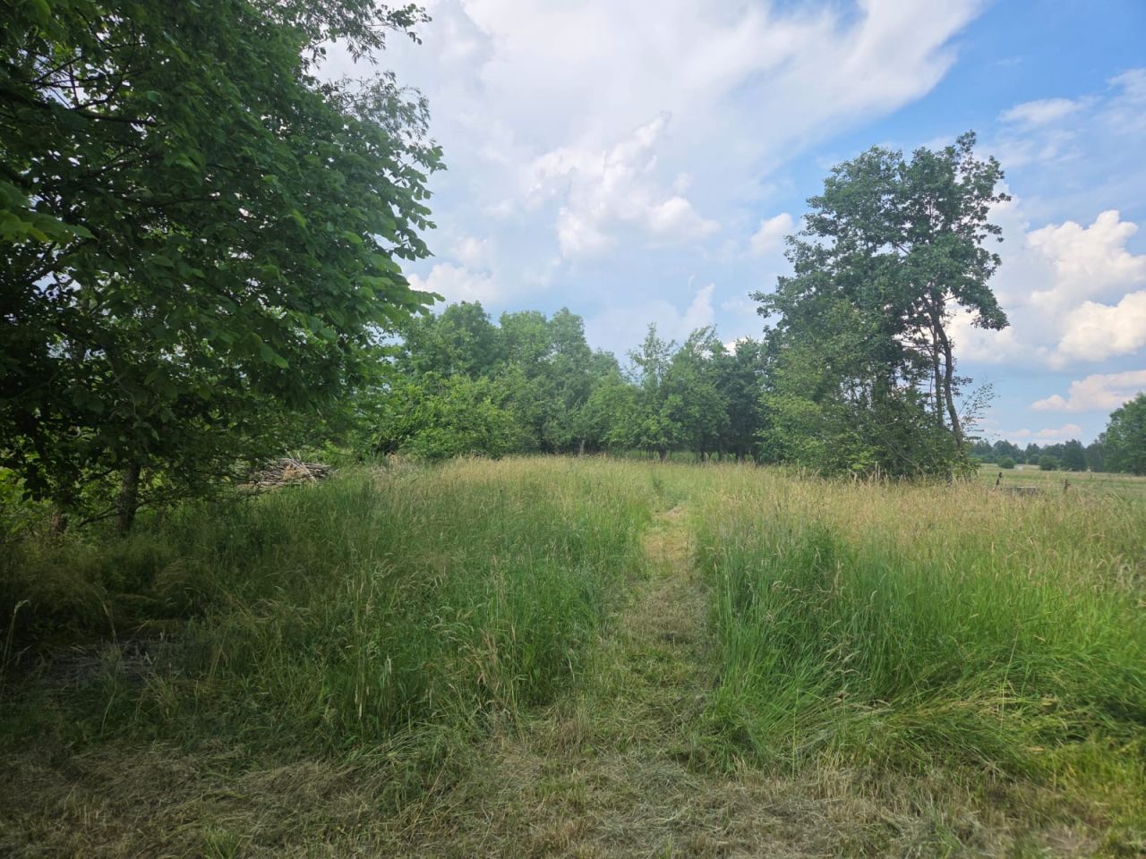 Działka rolno-budowlana Widełka. Zdjęcie 6