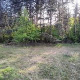Działka rolno-budowlana Olszyny, ul. Różana. Zdjęcie 3