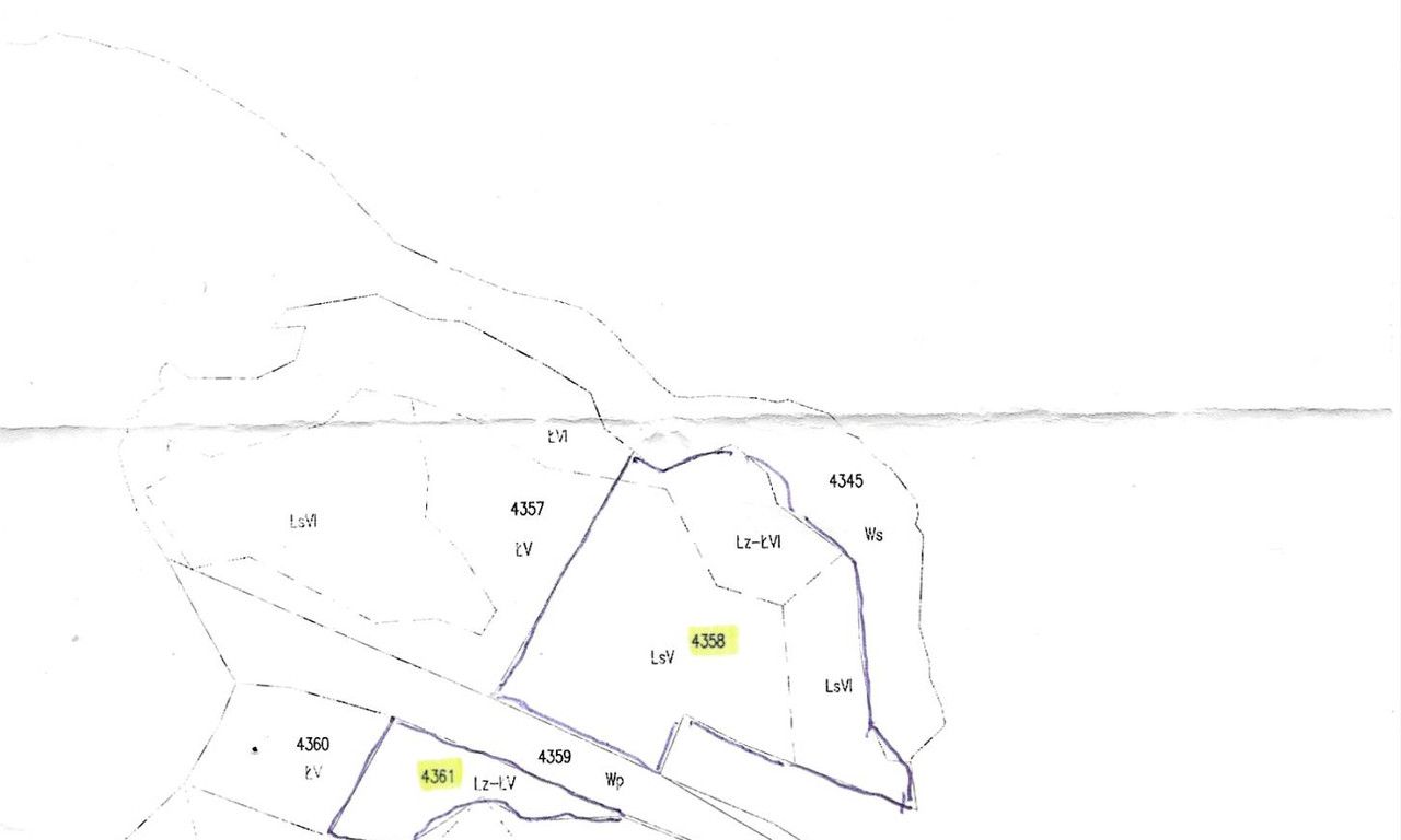 Działka leśna Augustów Studzieniczna. Zdjęcie 2
