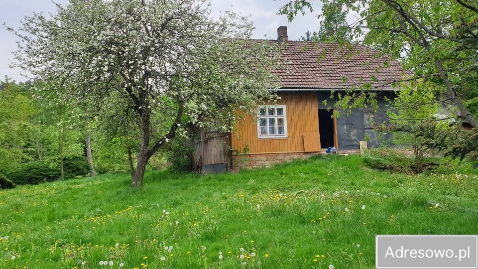 dom wolnostojący Osieczany