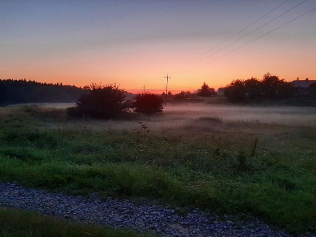 Działka rekreacyjna Leśniówka. Zdjęcie 6