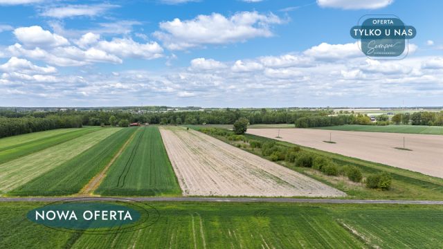 Działka rolna Przymiłów. Zdjęcie 3